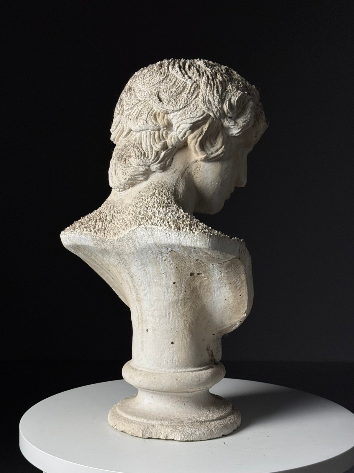 Plaster Bust of Antinous, circa 2000, photo 8