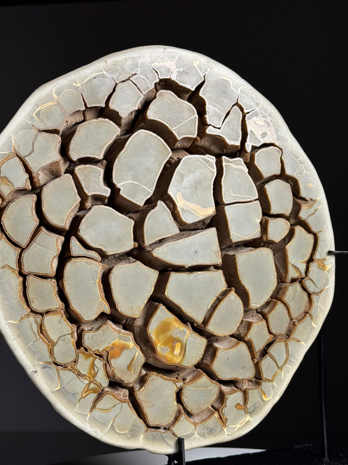 Septaria Nodule Cross Section on Metal Stand, photo 11