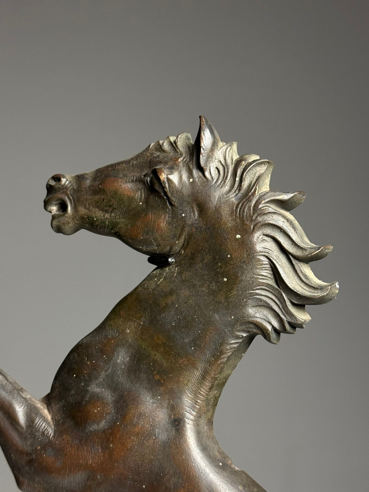 Bronze Seahorse Sculpture in Two Halves, France, c. 1960, photo 13