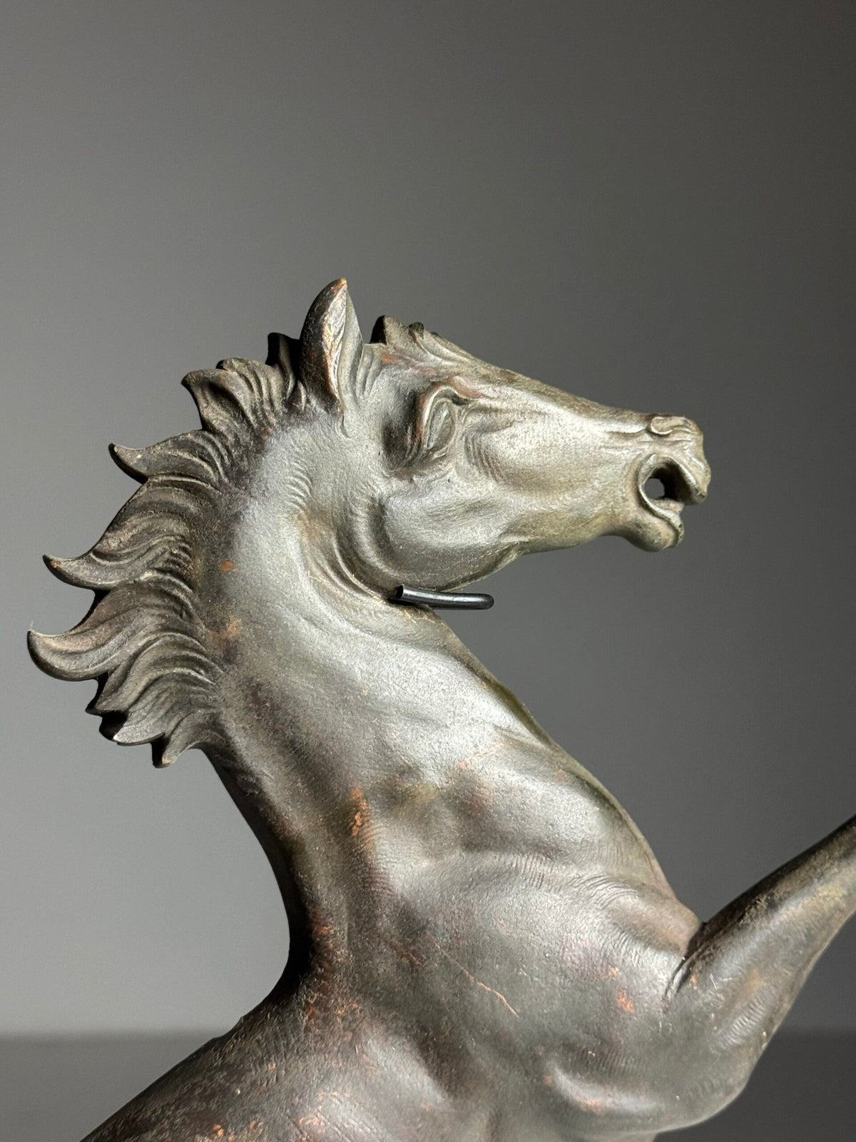 Bronze Seahorse Sculpture in Two Halves, France, c. 1960, photo 14