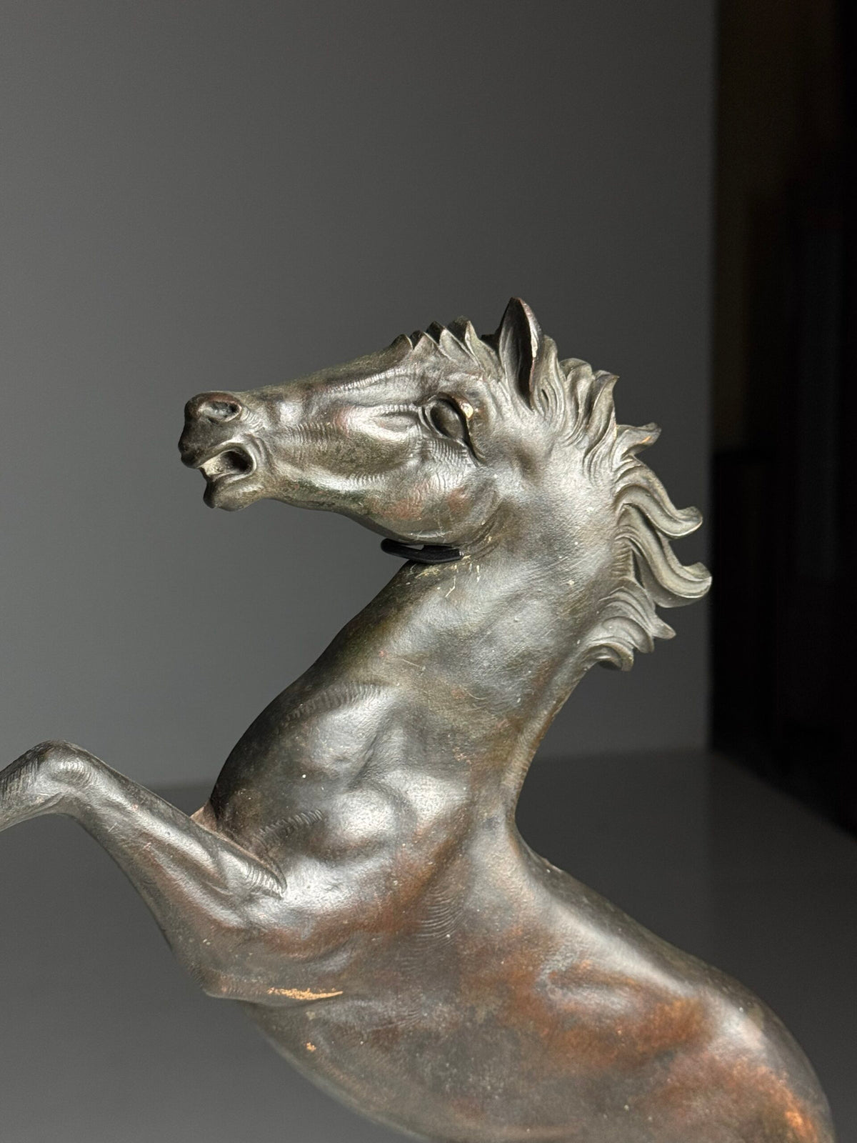 Bronze Seahorse Sculpture in Two Halves, France, c. 1960, photo 6