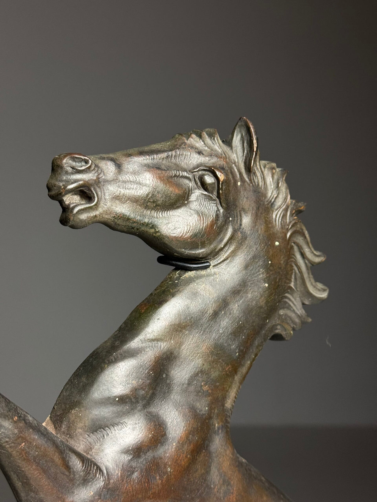 Bronze Seahorse Sculpture in Two Halves, France, c. 1960, photo 18