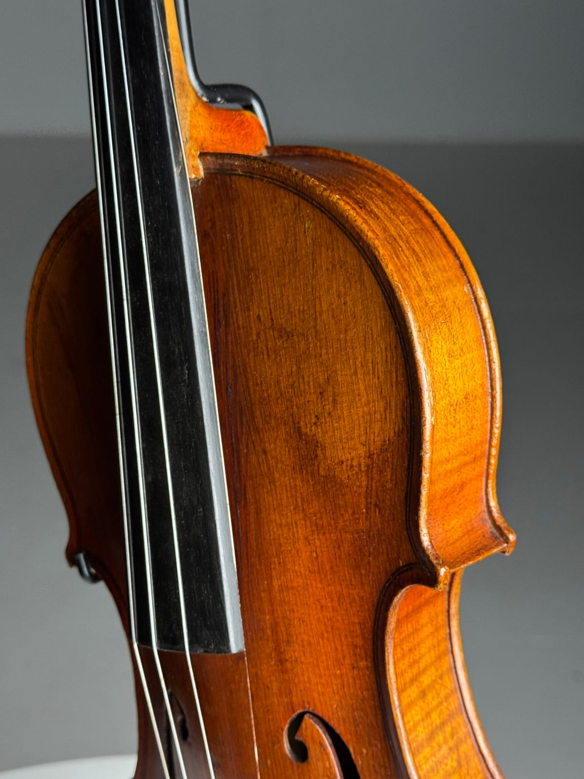 Late 19th Century Violin on Custom Stand, photo 10