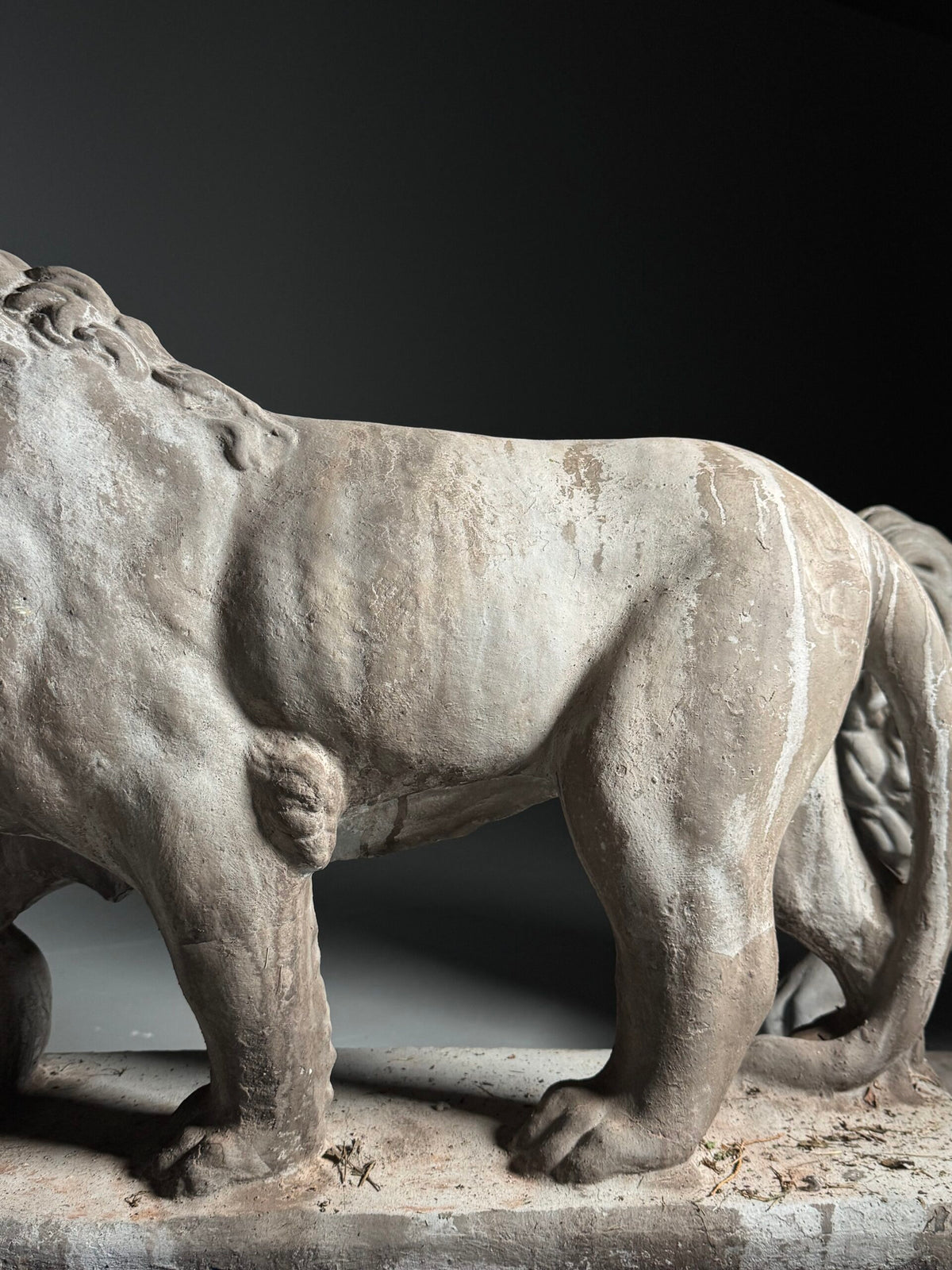 Pair of Composite Stone Medici Lions, Mid to Late 20th Century, photo 17