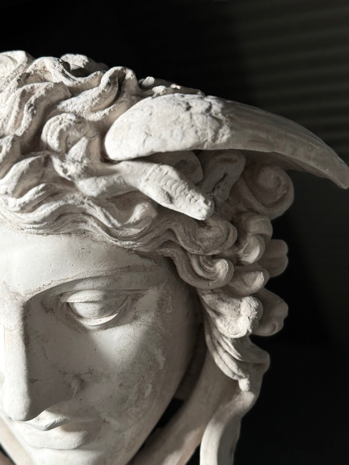 Plaster Medusa Wall Decoration, photo 8