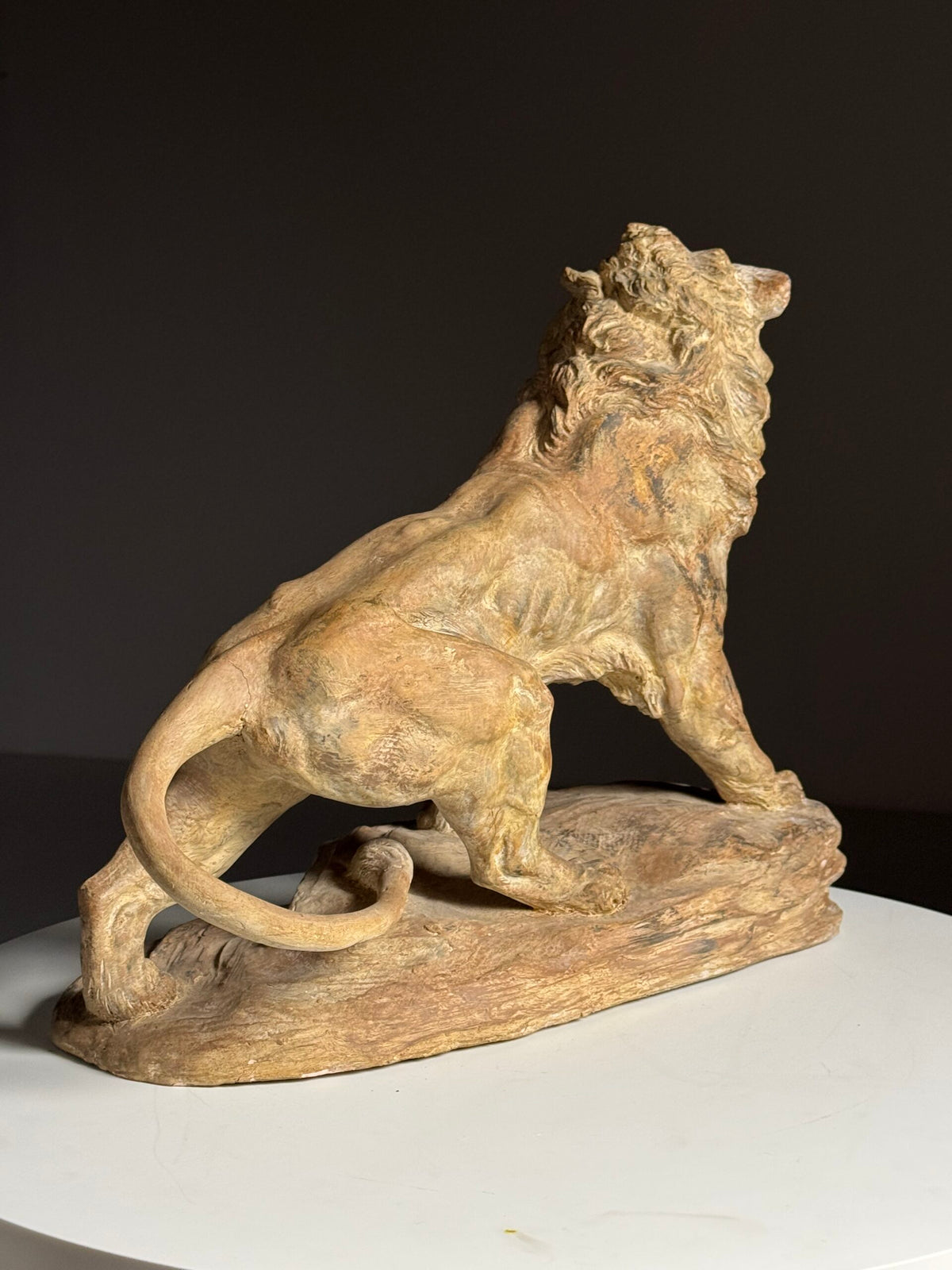 Terracotta Lion Sculpture by Armand Fagotto, photo 13