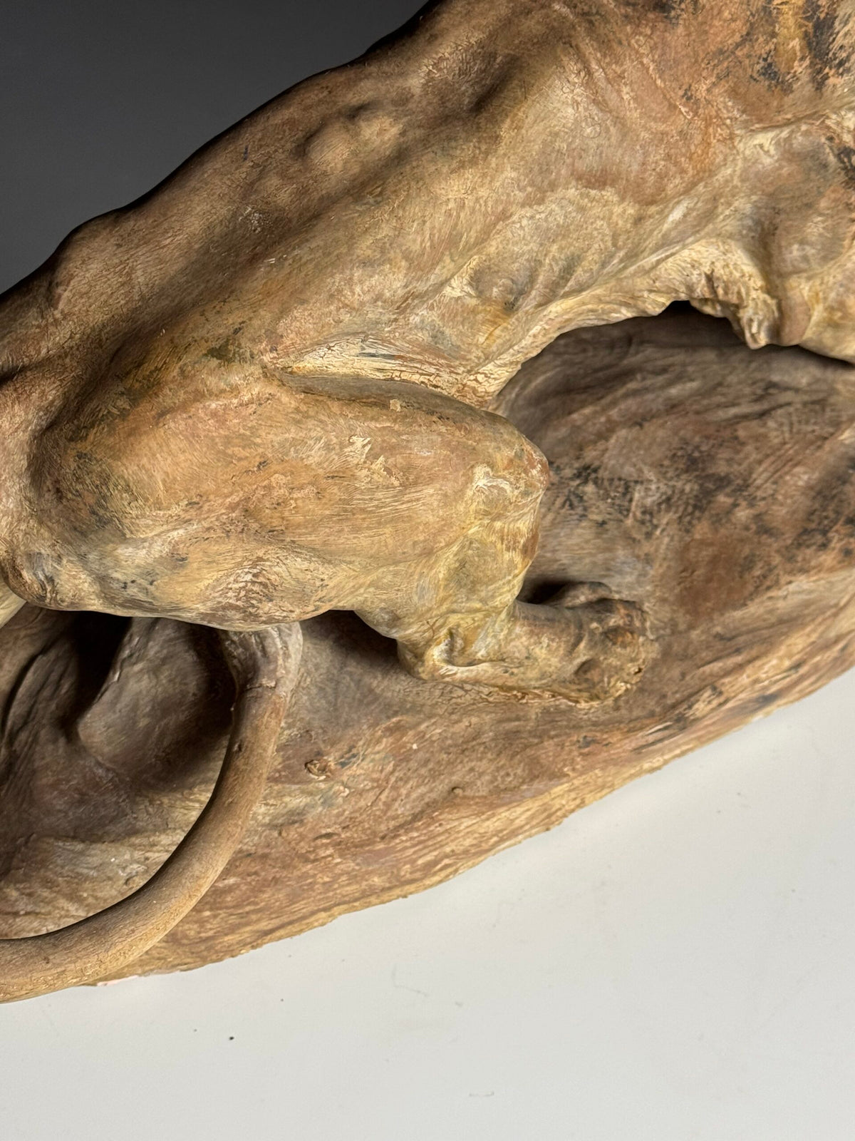 Terracotta Lion Sculpture by Armand Fagotto, photo 16