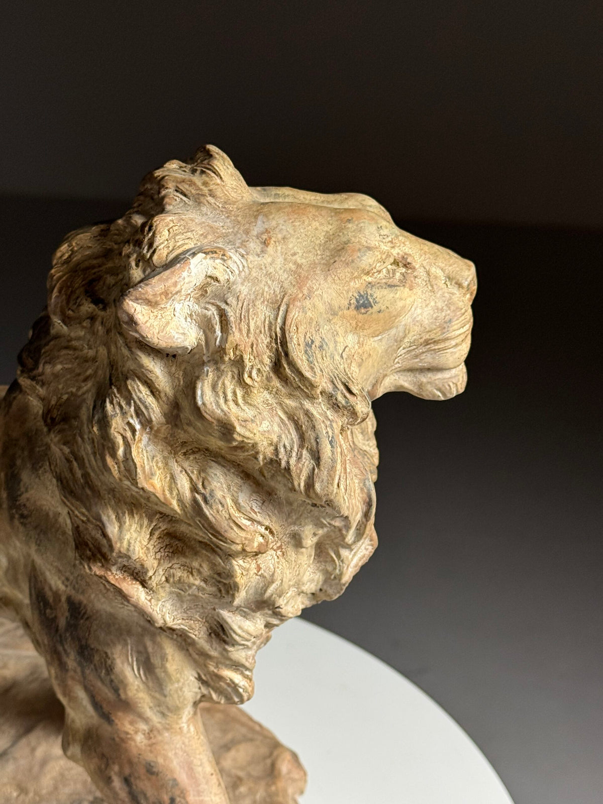 Terracotta Lion Sculpture by Armand Fagotto, photo 17