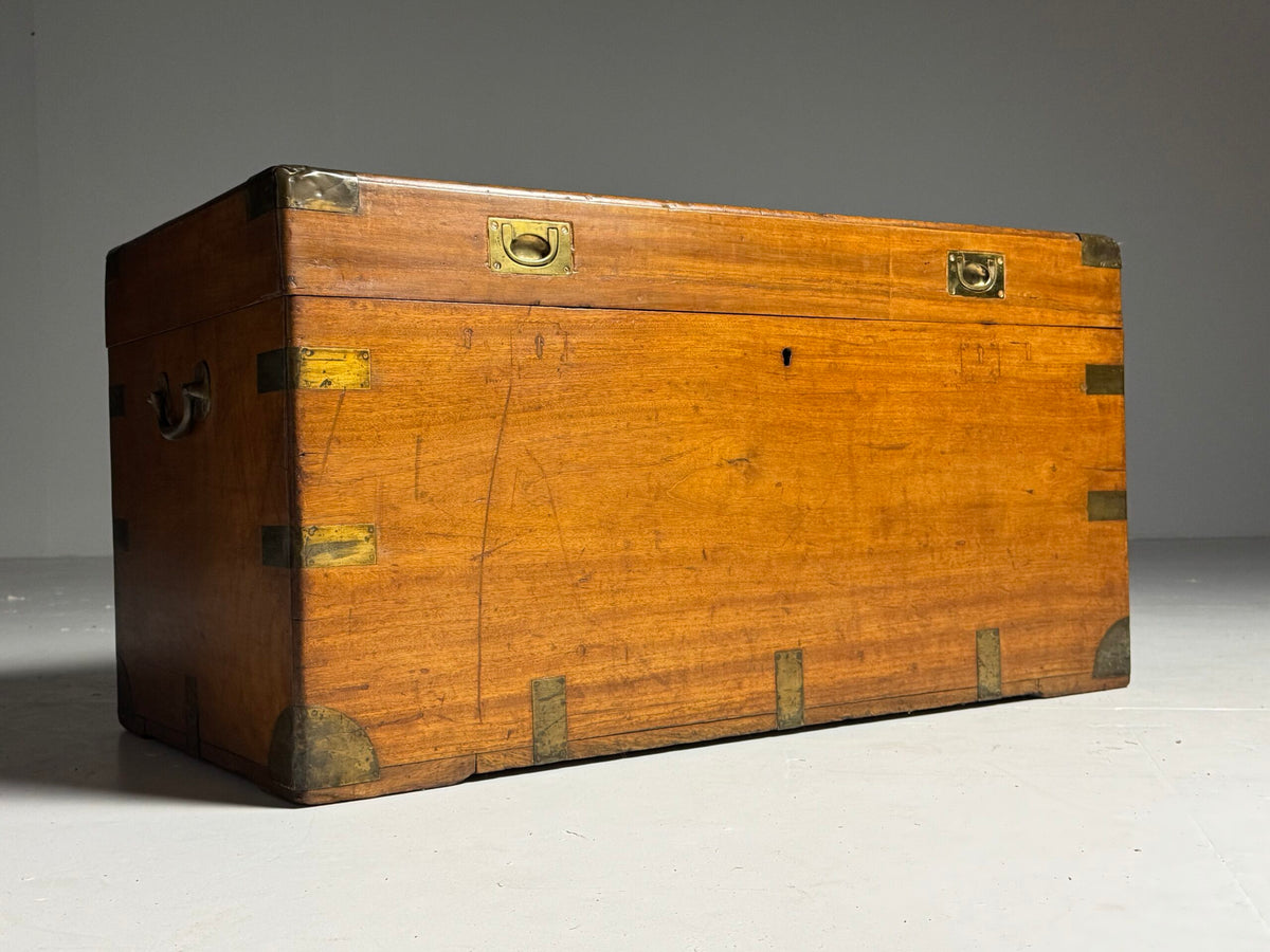 English Camphor Wood Campaign or Maritime Chest, 19th Century, photo 4