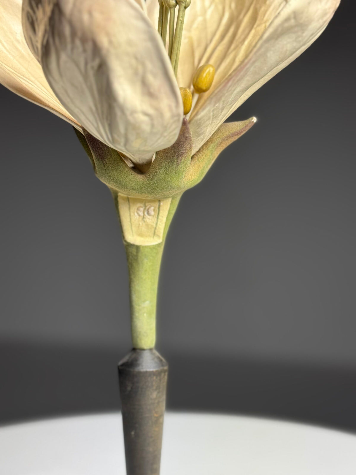 German Botanical Flower Model, Osterloh Model 21, c. 1900, photo 16