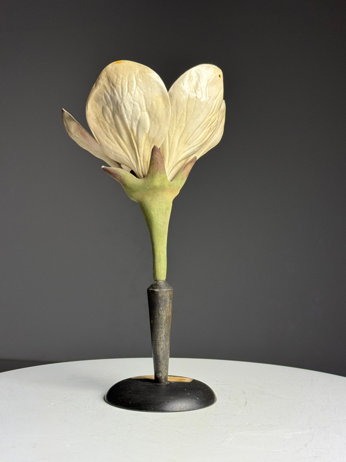 German Botanical Flower Model, Osterloh Model 21, c. 1900, photo 6