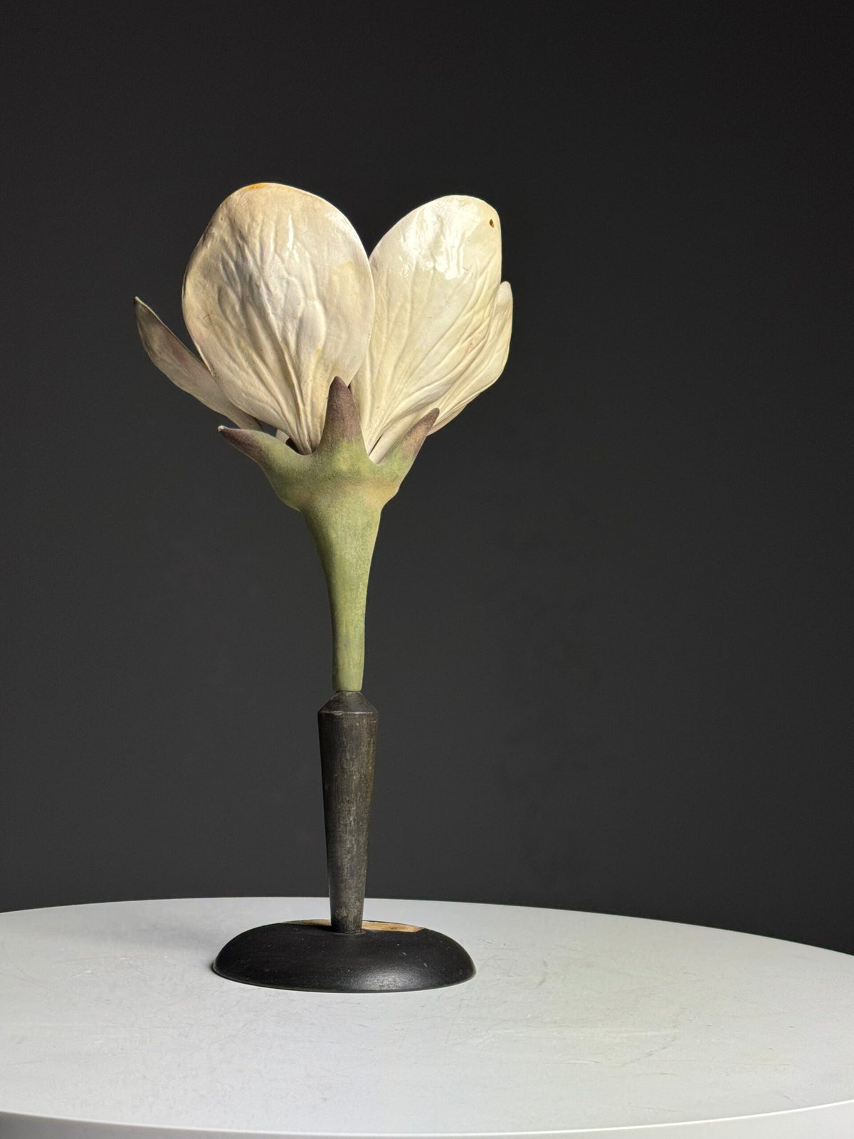 German Botanical Flower Model, Osterloh Model 21, c. 1900, photo 5