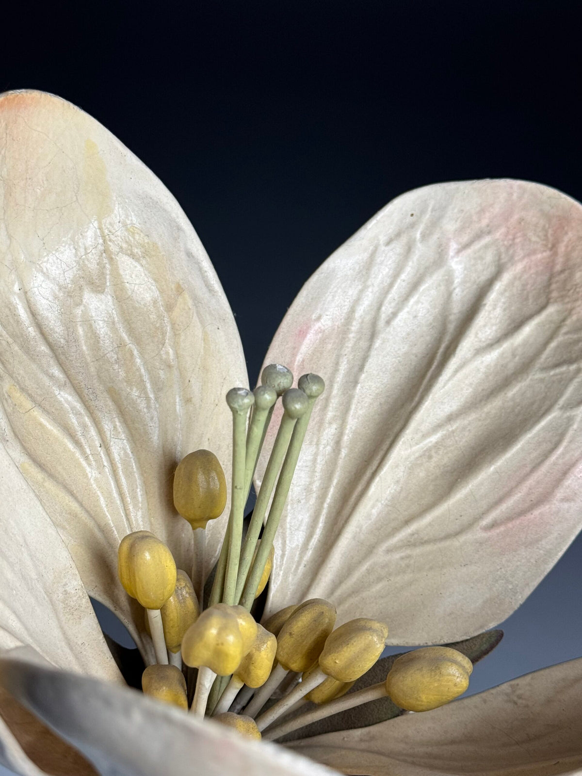 German Botanical Flower Model, Osterloh Model 21, c. 1900, photo 2