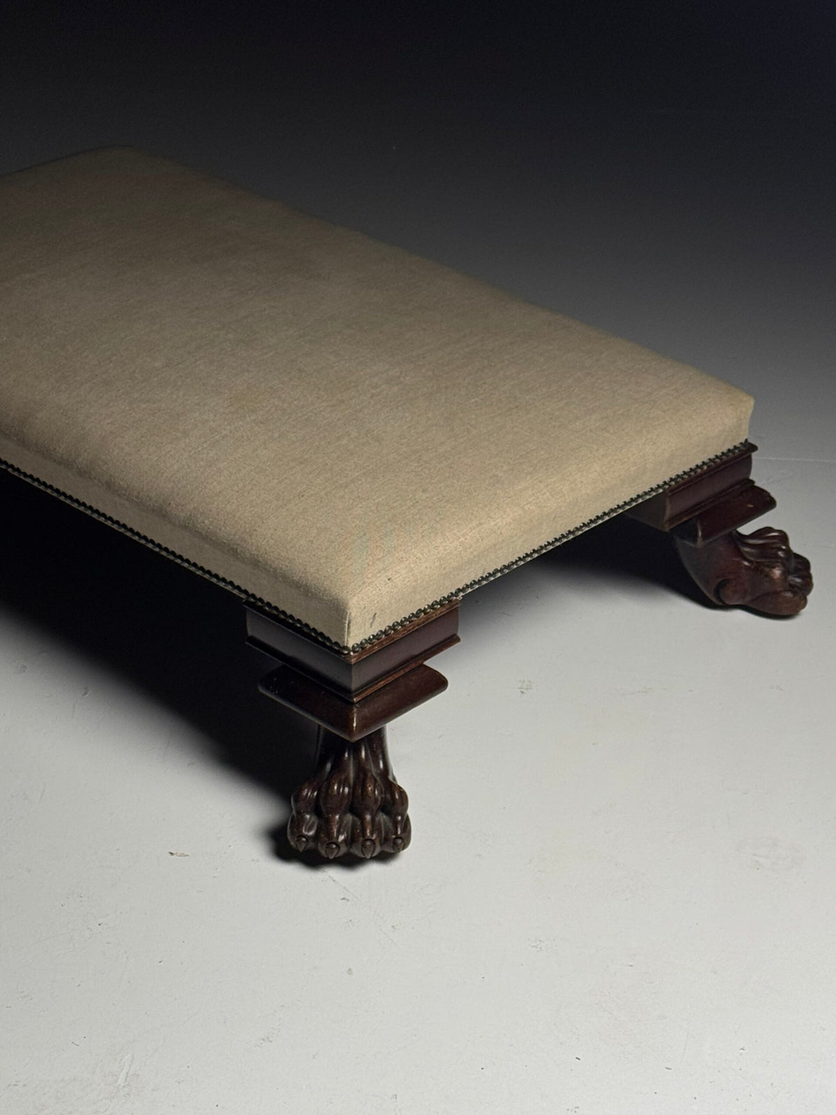 Large 19th Century Footstool with Lion's Claw Feet, photo 6