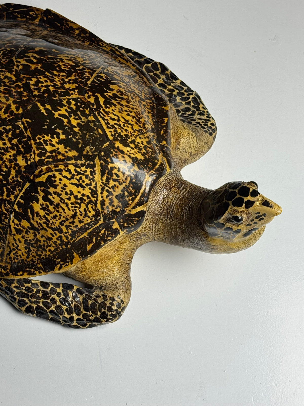 Large Realistic Plastic Turtle Replica, photo 21