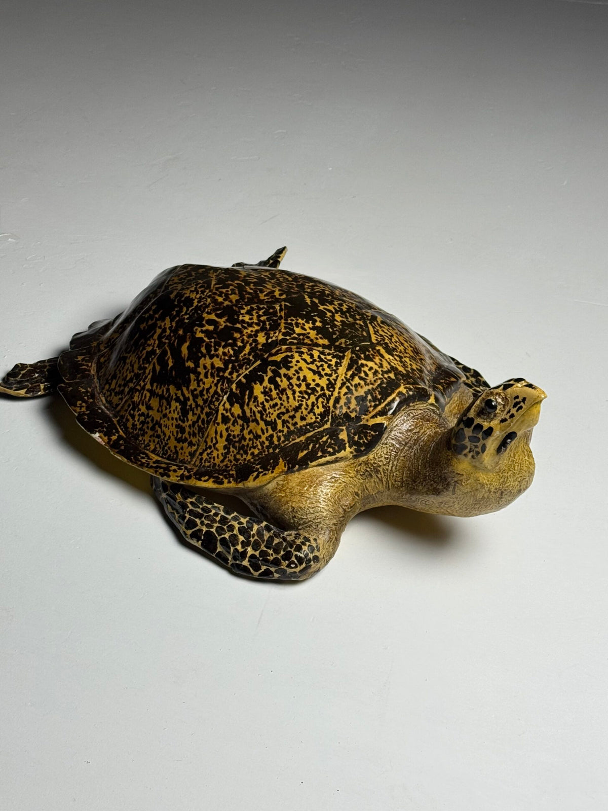 Large Realistic Plastic Turtle Replica, photo 20