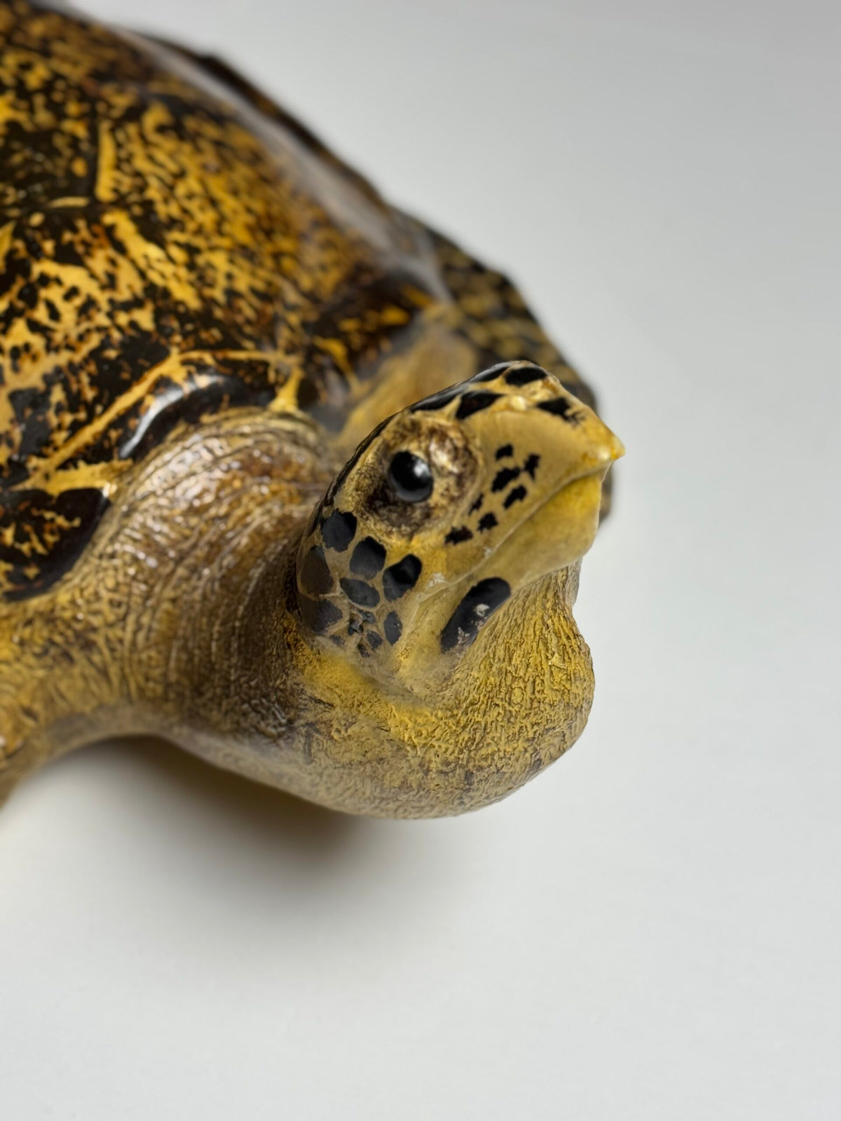 Large Realistic Plastic Turtle Replica, photo 19