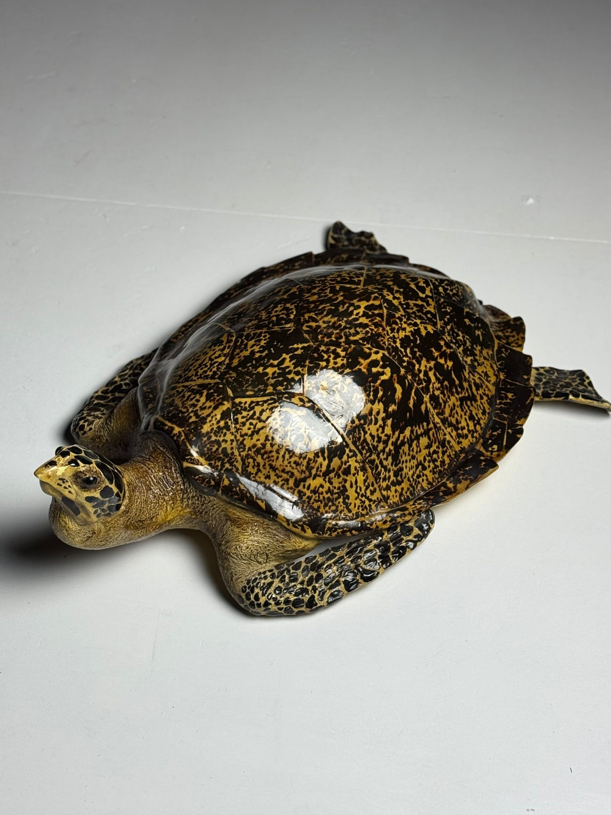 Large Realistic Plastic Turtle Replica, photo 18