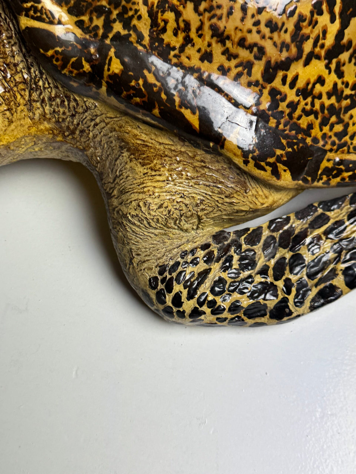 Large Realistic Plastic Turtle Replica, photo 12