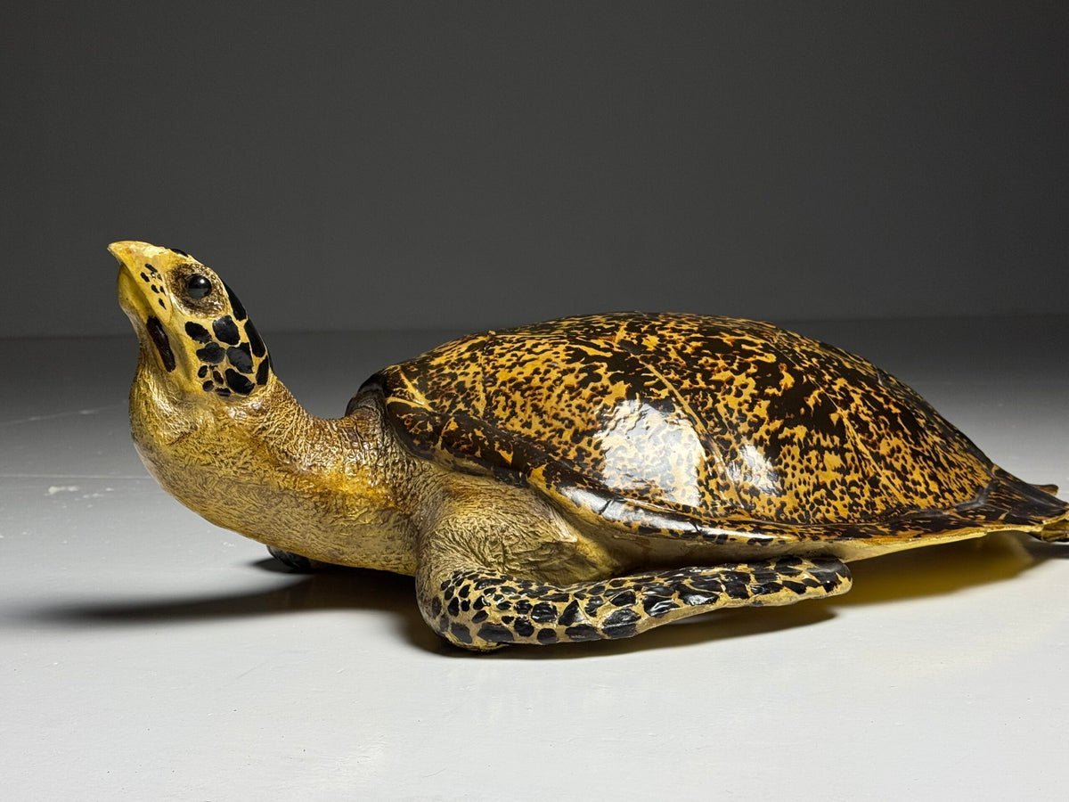 Large Realistic Plastic Turtle Replica, photo 7