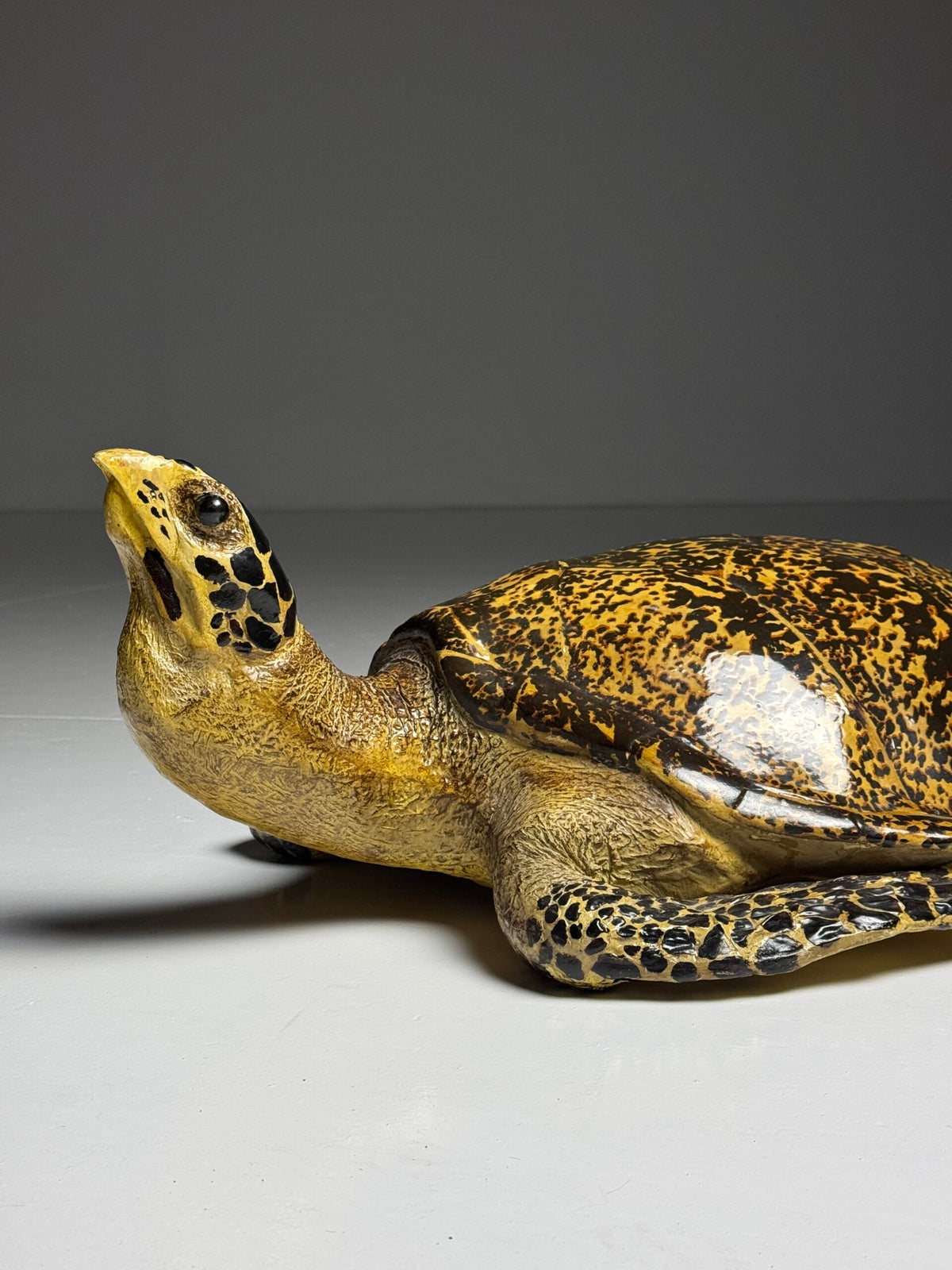 Large Realistic Plastic Turtle Replica, photo 1