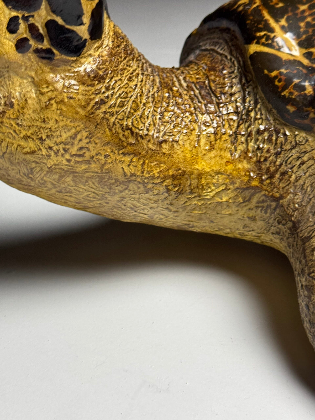 Large Realistic Plastic Turtle Replica, photo 3