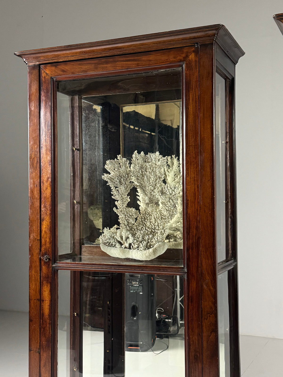 Pair of French Mahogany Veneer Display Cabinets, photo 9