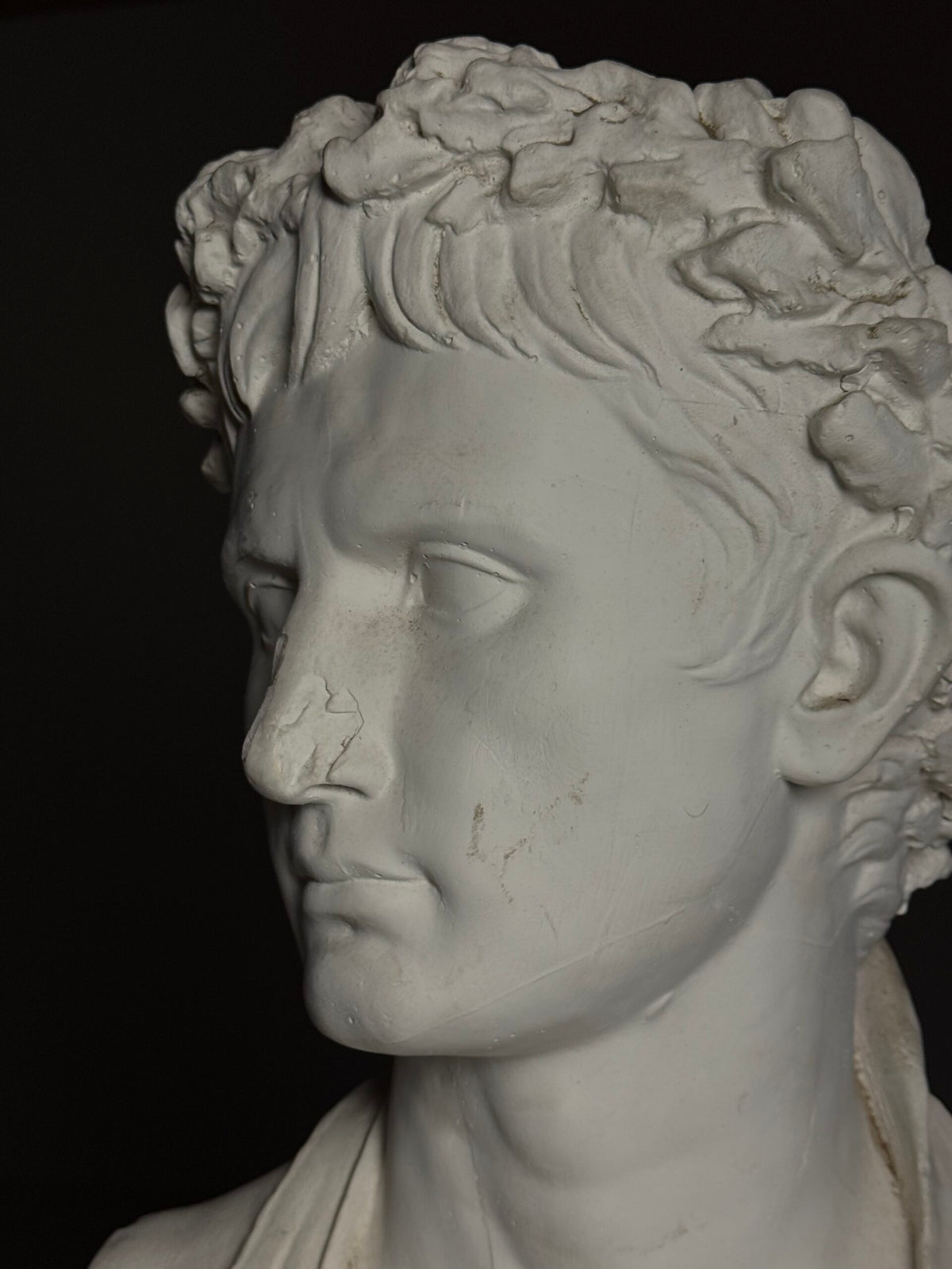 Plaster Bust of Emperor Augustus, Late 20th Century, photo 19