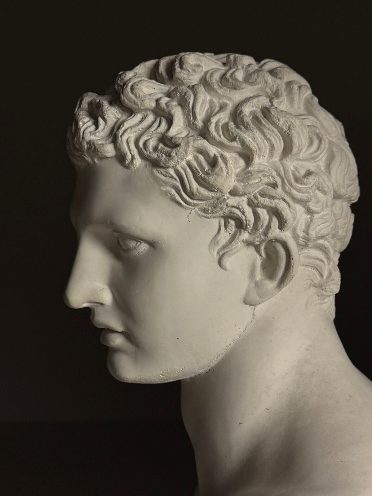 Bust of Meleager, Composite Stone, Late 20th Century, photo 11