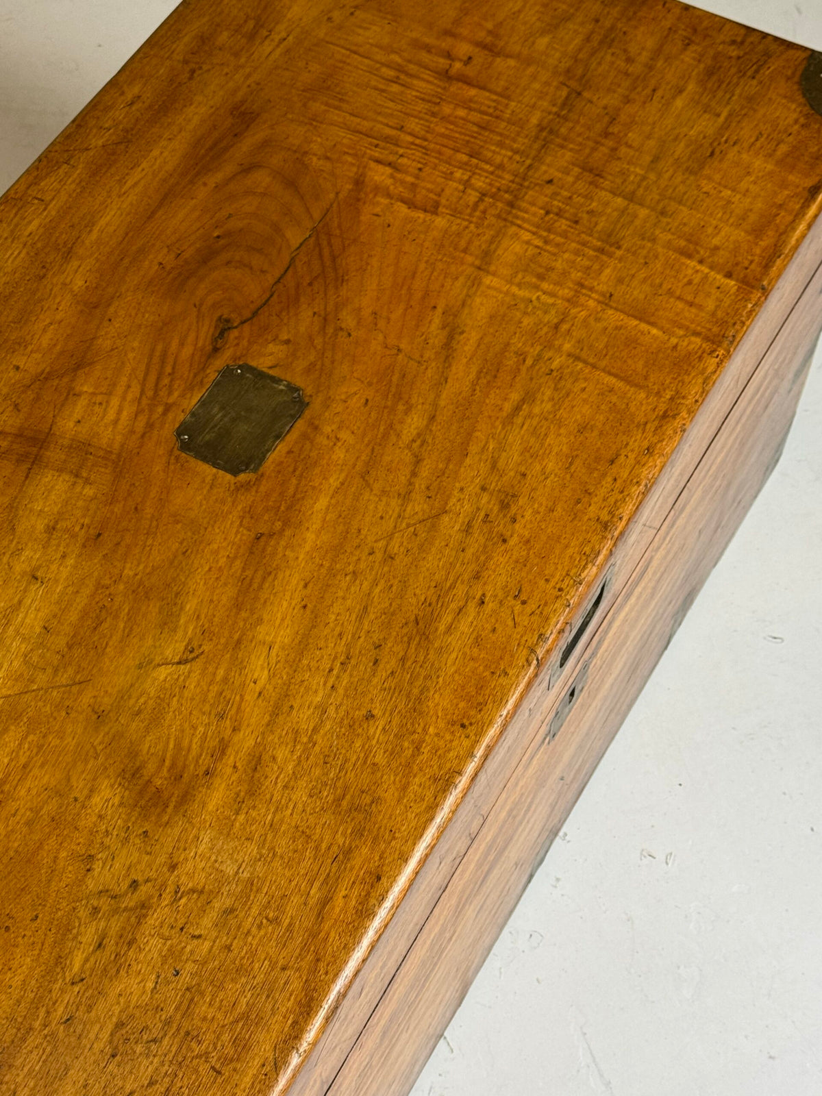 English Camphor Wood Campaign Chest, 19th Century, photo 37