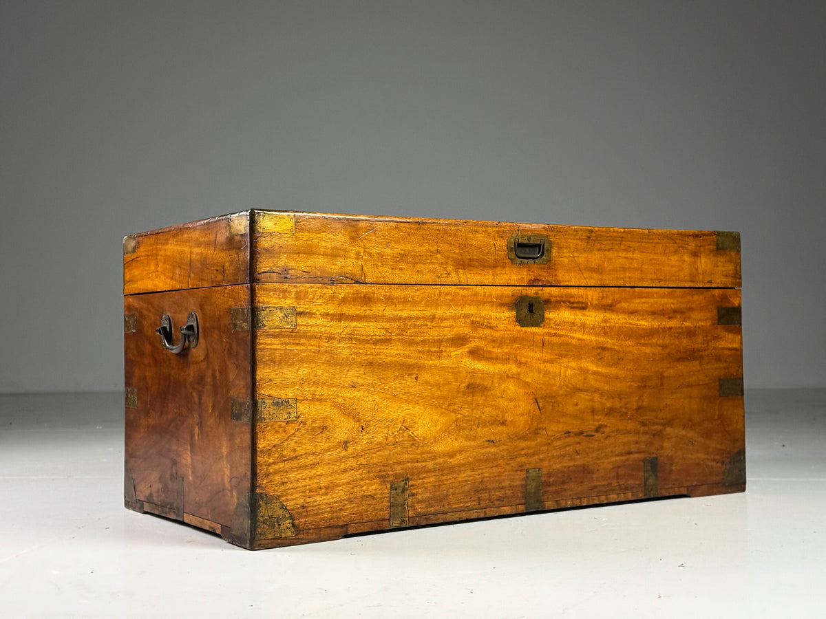 English Camphor Wood Campaign Chest, 19th Century, photo 20