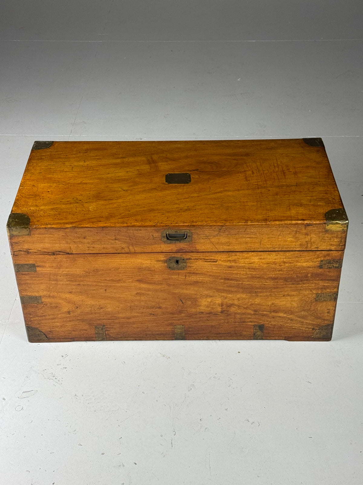 English Camphor Wood Campaign Chest, 19th Century, photo 10