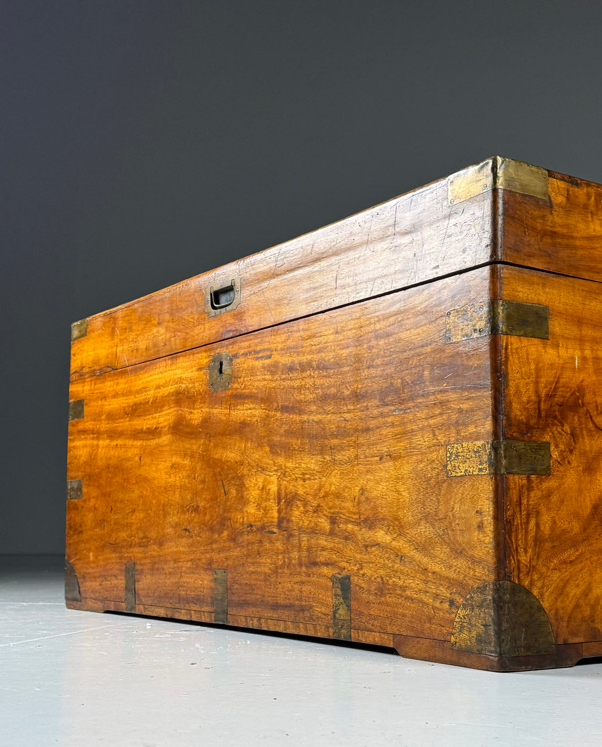 English Camphor Wood Campaign Chest, 19th Century, photo 5