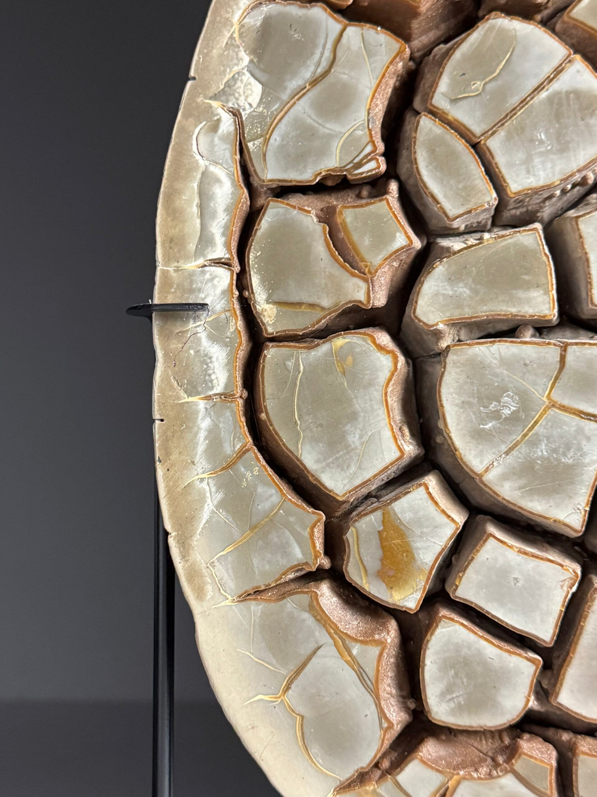 Large Septarian Nodule on Custom Stand, photo 4