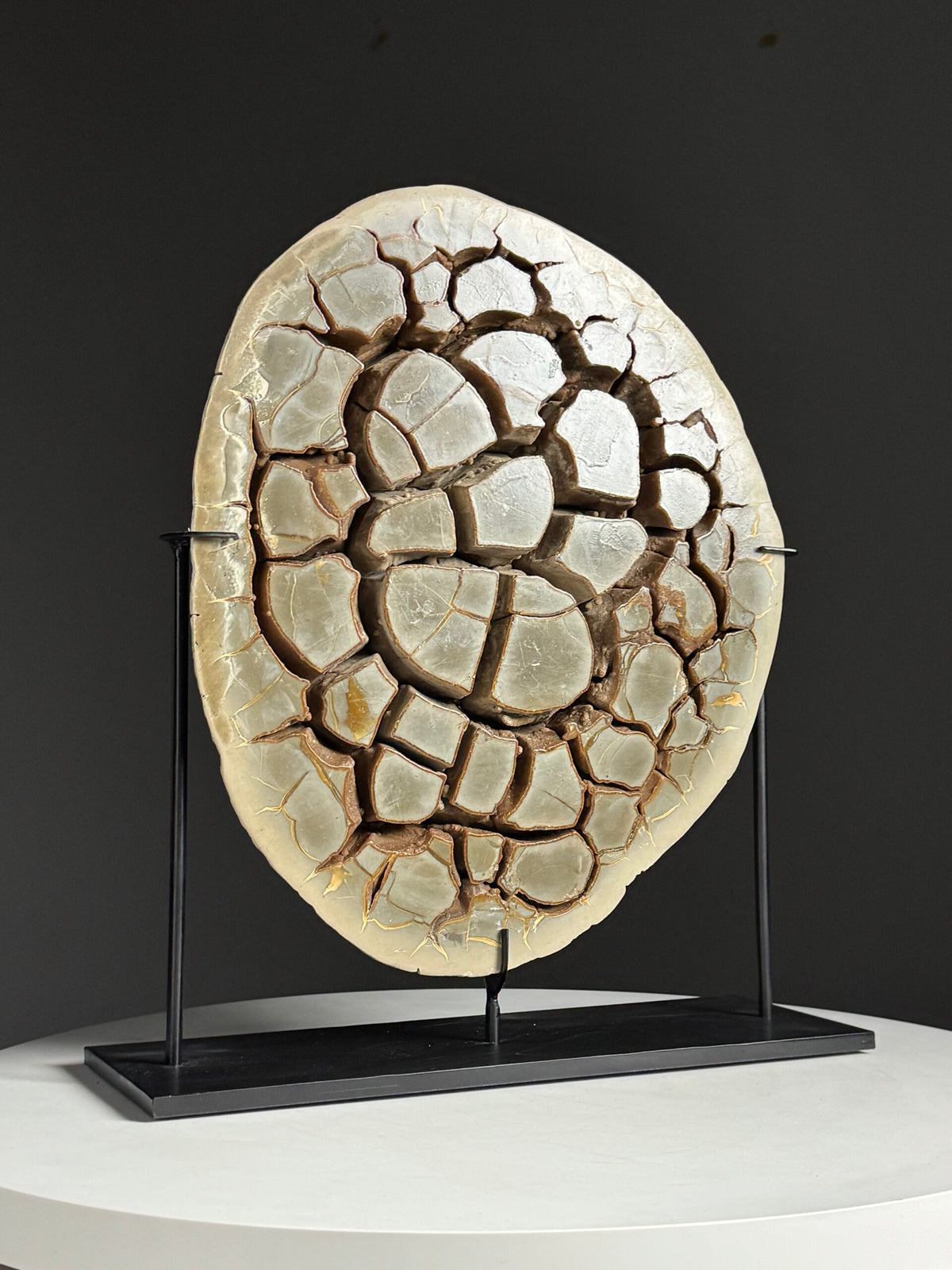 Large Septarian Nodule on Custom Stand, photo 7