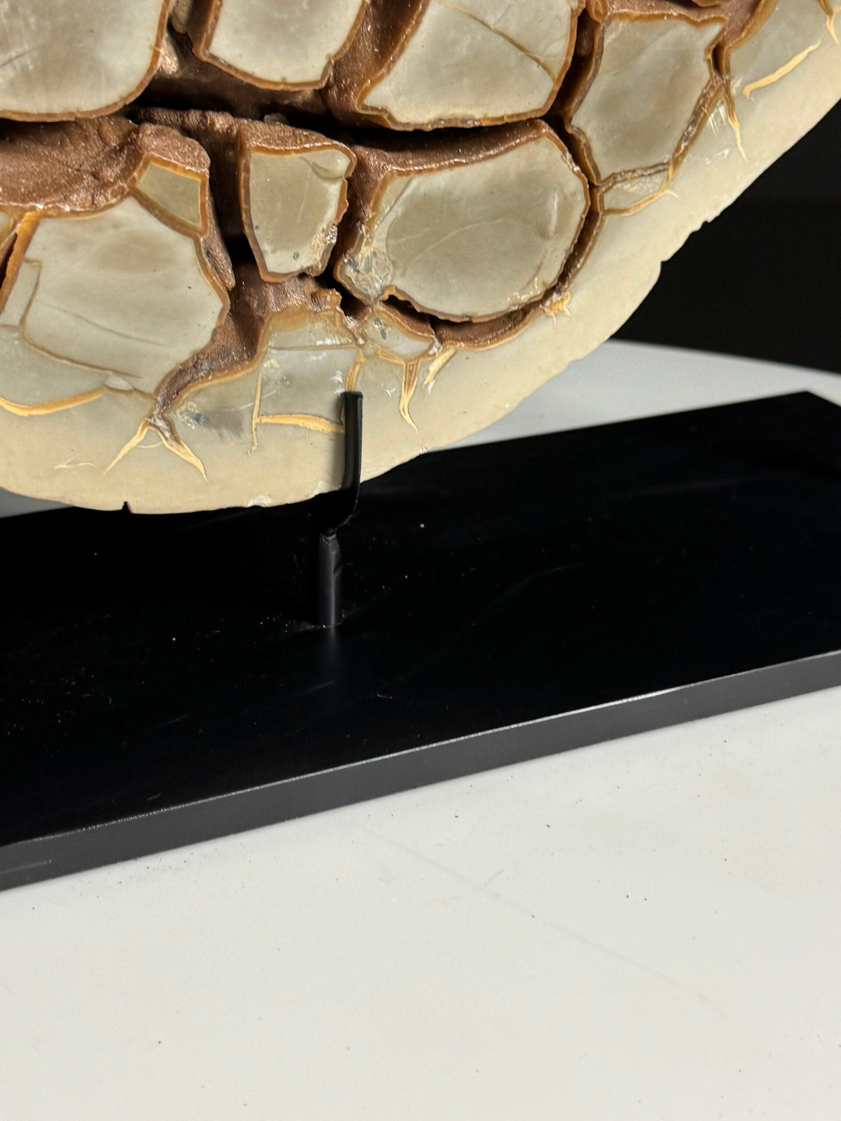 Large Septarian Nodule on Custom Stand, photo 9