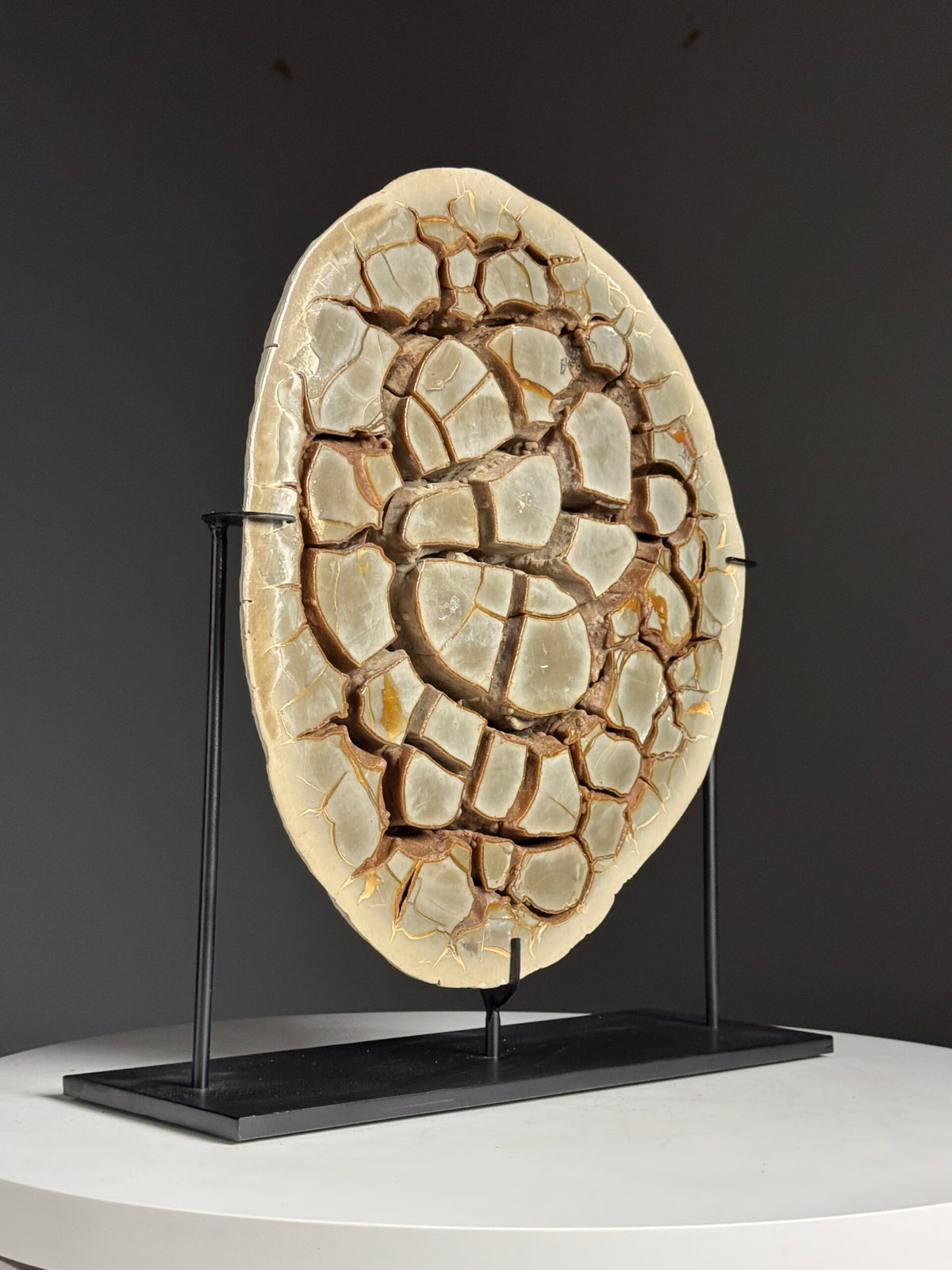 Large Septarian Nodule on Custom Stand, photo 10