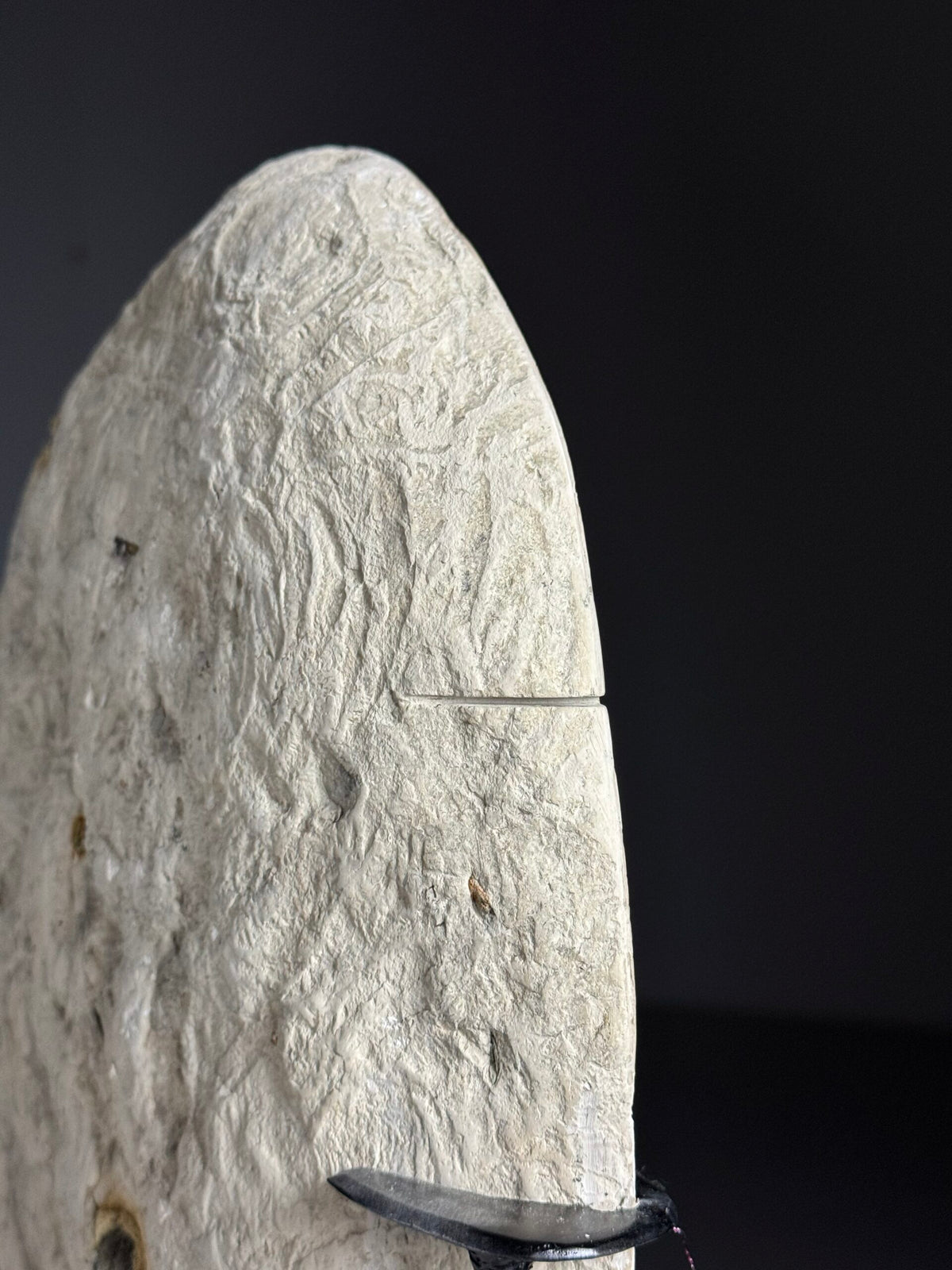 Large Septarian Nodule on Custom Stand, photo 11