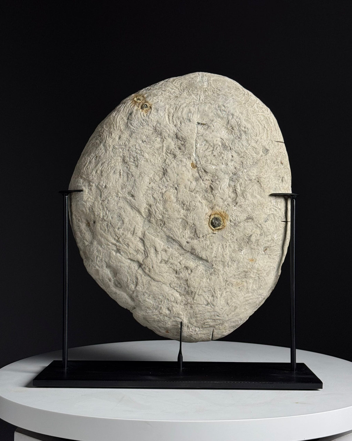 Large Septarian Nodule on Custom Stand, photo 12