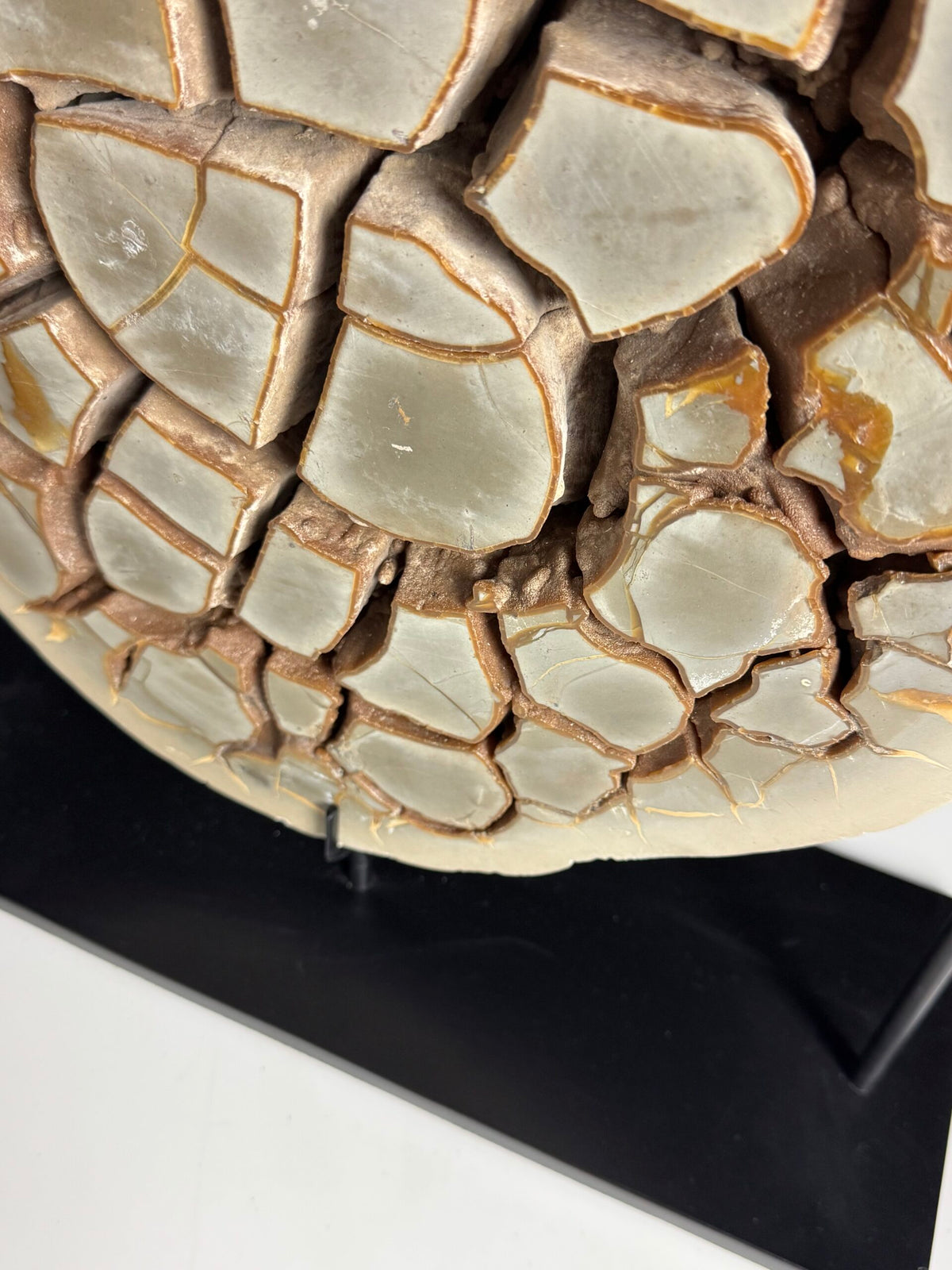 Large Septarian Nodule on Custom Stand, photo 14