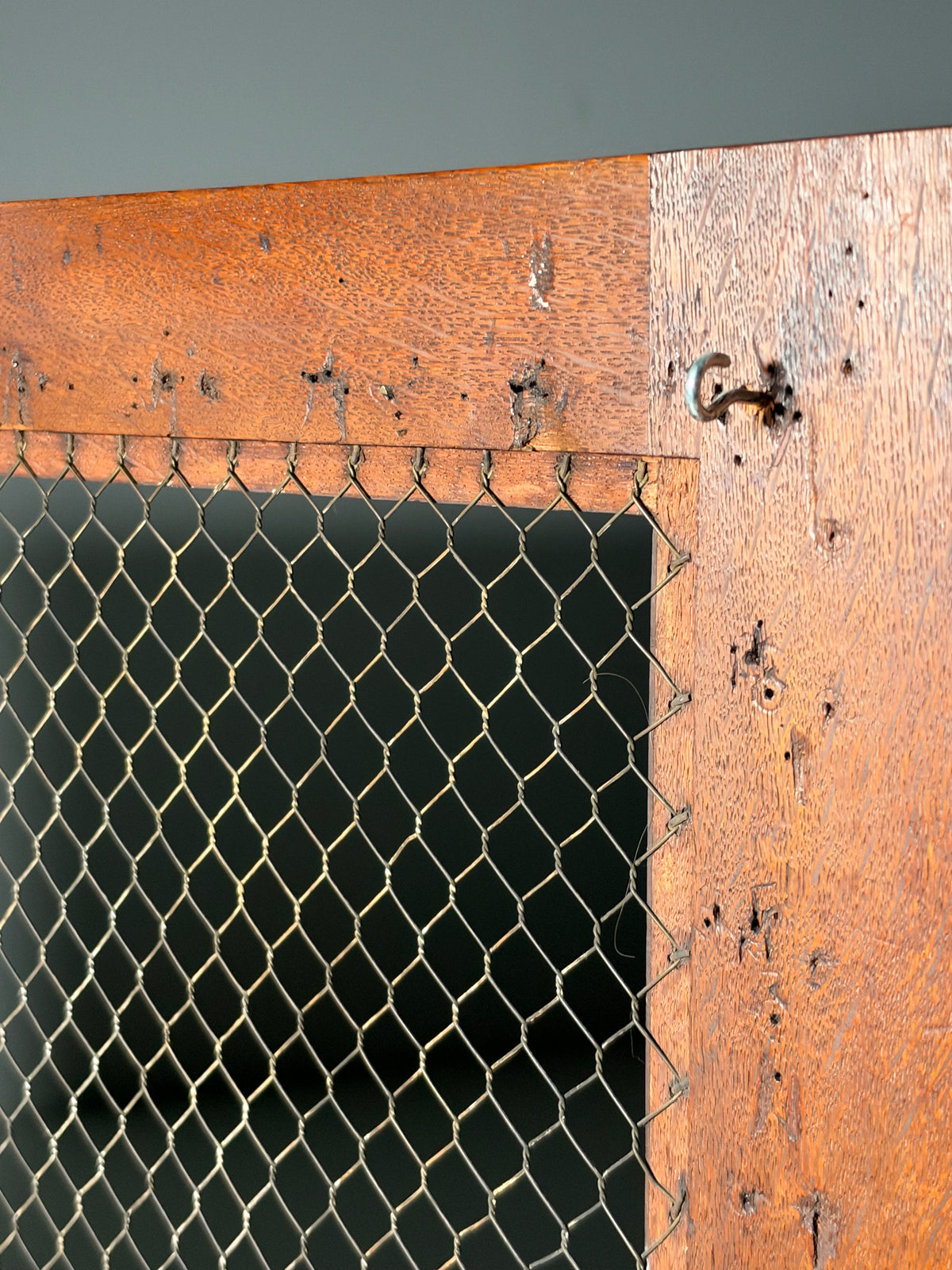 19th century mahogany display cabinet