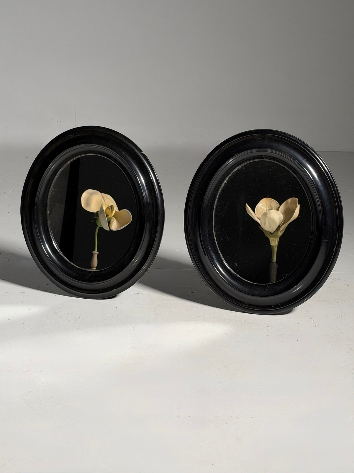 Pair of oval mirrors, 19th century