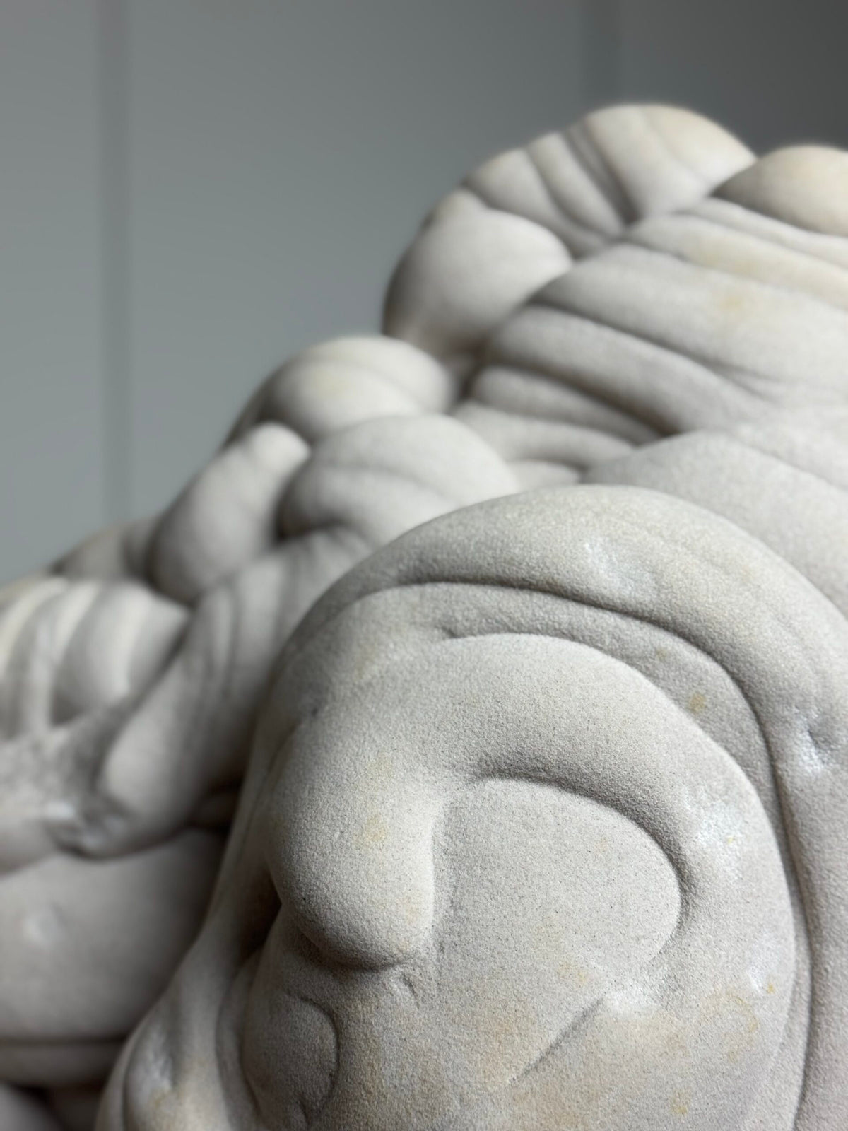 Giant Gogotte de Fontainebleau on Custom Stand, photo 13