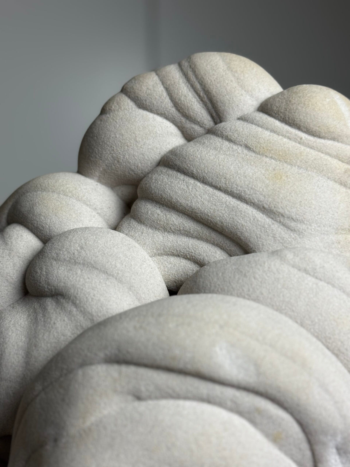 Giant Gogotte de Fontainebleau on Custom Stand, photo 14