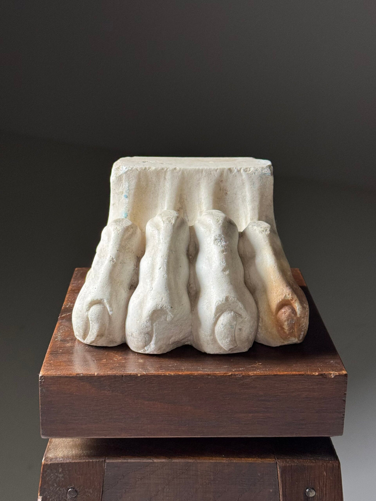 Pair of Hand Carved Marble Lion Paw Feet, 20th Century, photo 11