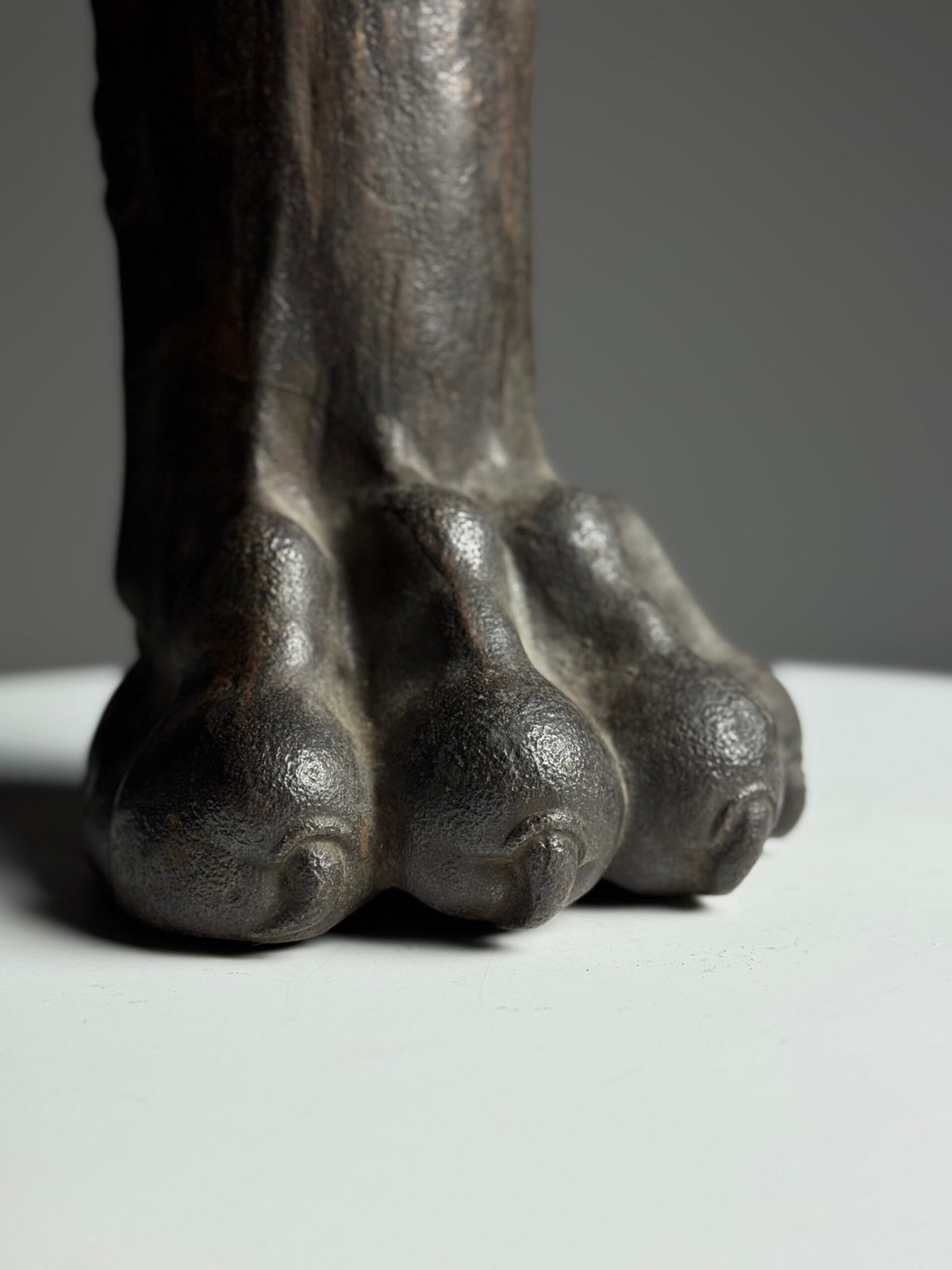 Life-size Cast Iron Lion's Paw, 19th Century, photo 12