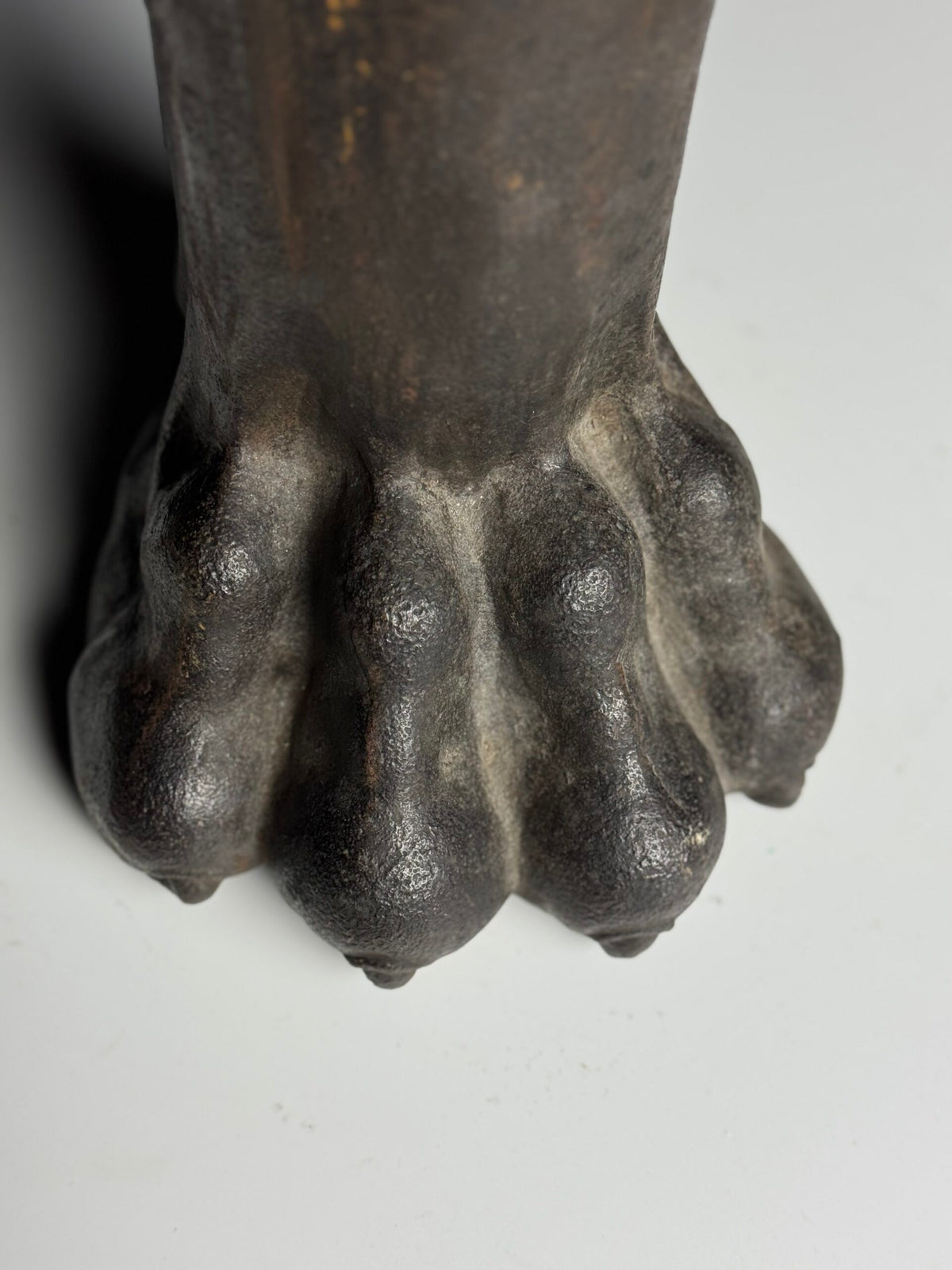 Life-size Cast Iron Lion's Paw, 19th Century, photo 11