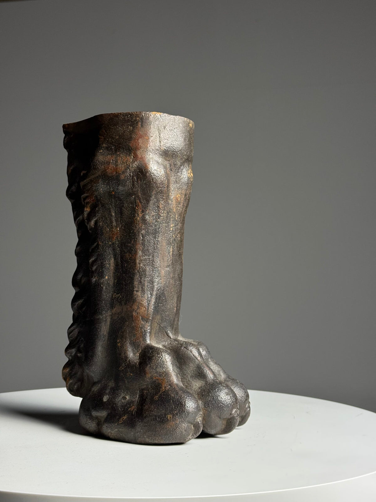 Life-size Cast Iron Lion's Paw, 19th Century, photo 6