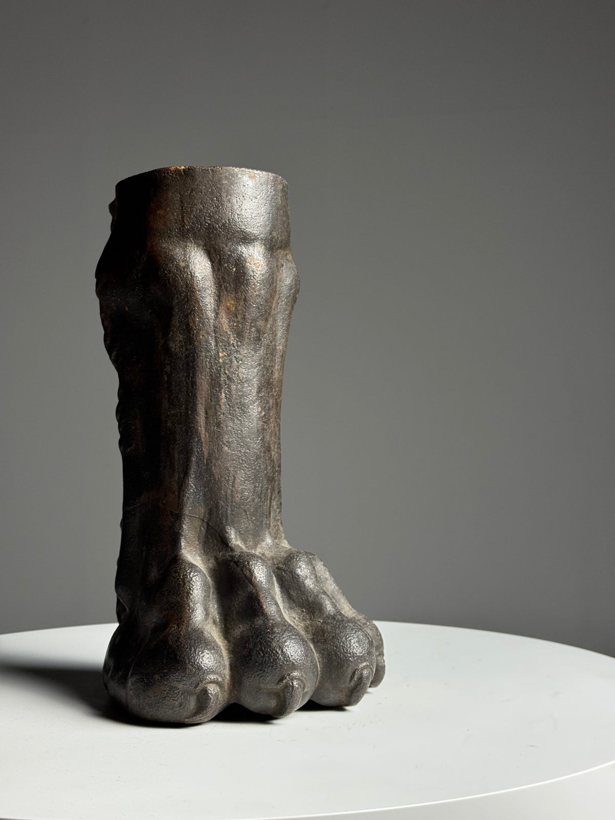 Life-size Cast Iron Lion's Paw, 19th Century, photo 1