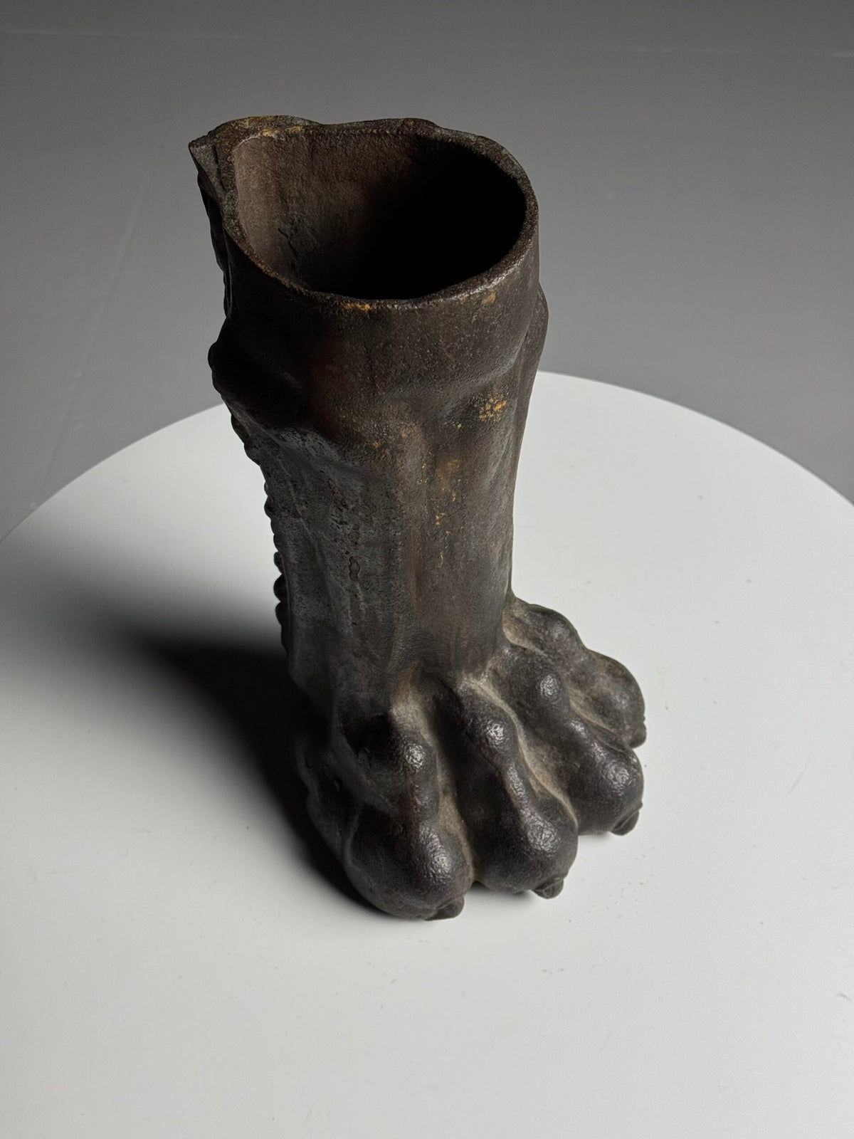 Life-size Cast Iron Lion's Paw, 19th Century, photo 5